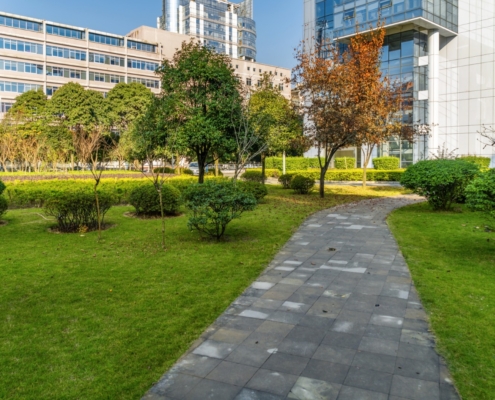 Naturel Boya Peyzaj Çalışması