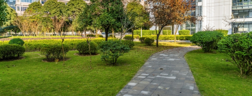 Naturel Boya Peyzaj Çalışması