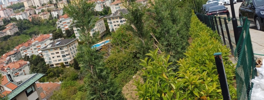 TRT Ulus Peyzaj Çalışması (2)