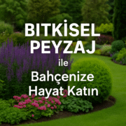Bitkisel Peyzaj