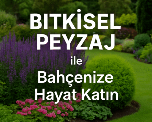 Bitkisel Peyzaj