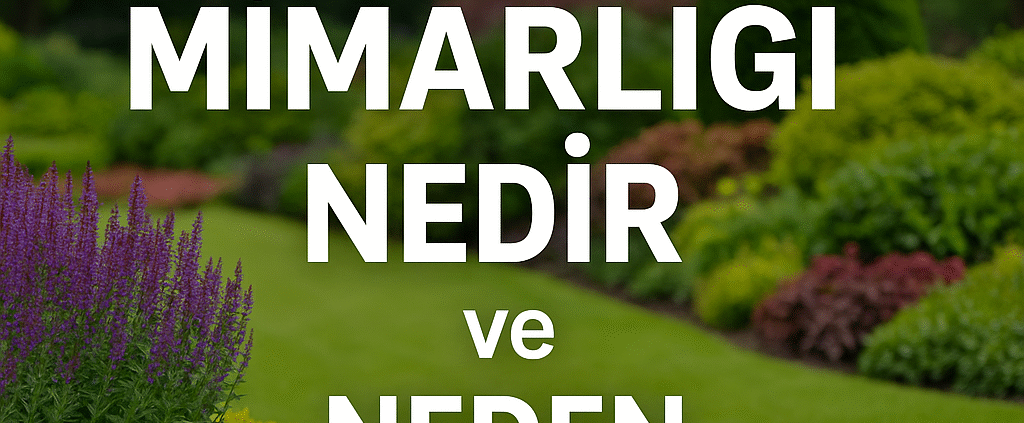 Peyzaj Mimarlığı Nedir ve Neden Önemlidir
