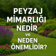 Peyzaj Mimarlığı Nedir ve Neden Önemlidir