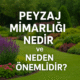 Peyzaj Mimarlığı Nedir ve Neden Önemlidir